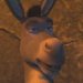 Donkey