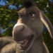 Donkey