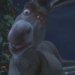 Donkey