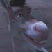 Donkey