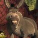 Donkey