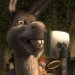 Donkey