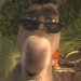 Donkey