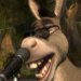 Donkey