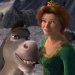 Princess Fiona and Donkey
