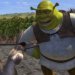 Shrek and Donkey