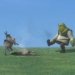 Shrek and Donkey