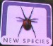 New Species