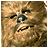 Chewbacca