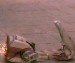 Battle Droid