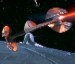 Droid Ship