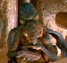 Watto
