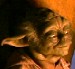 Yoda