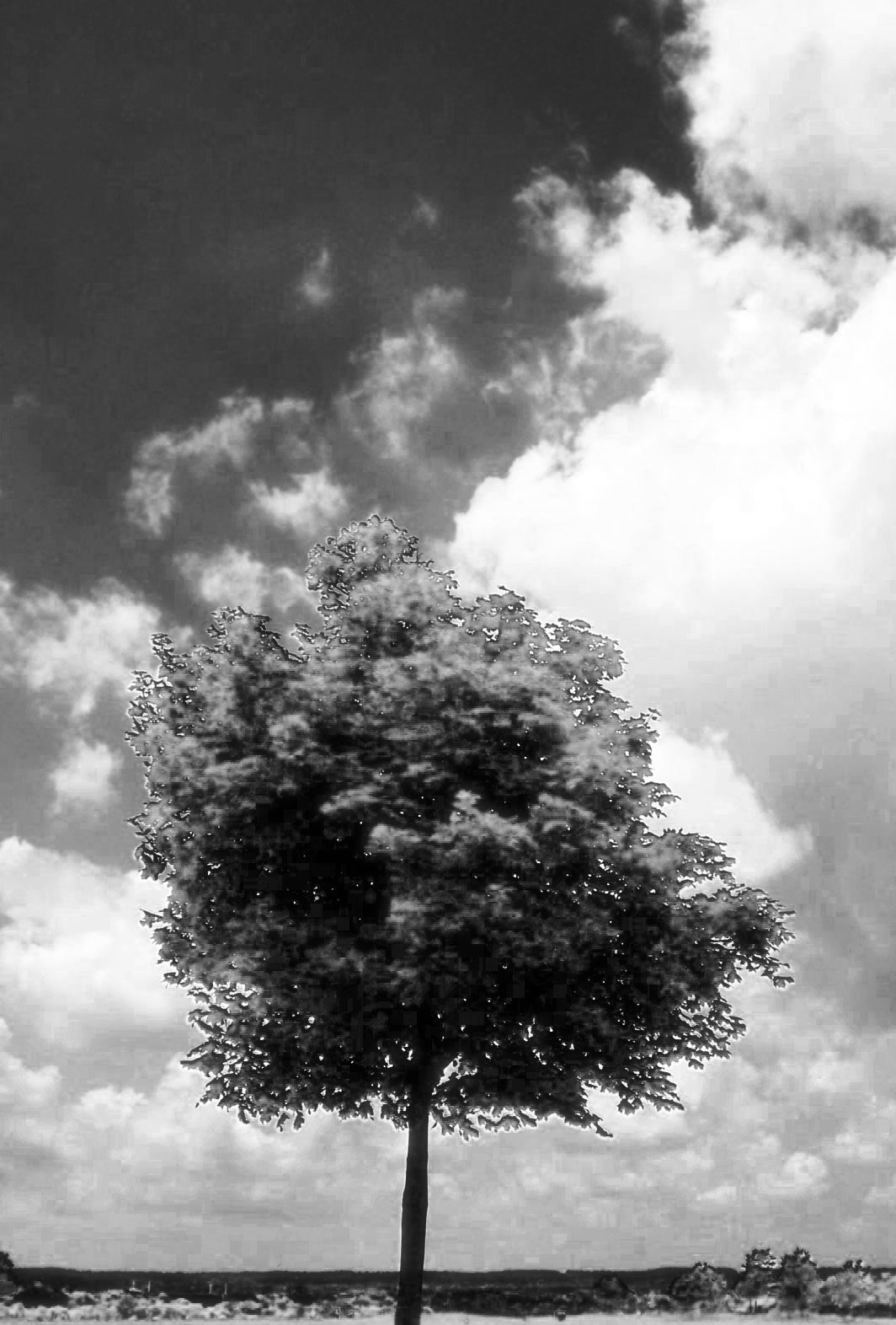 infratree &copy; 2006