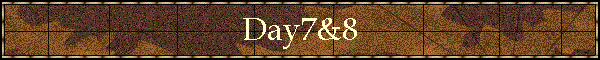 Day7&8