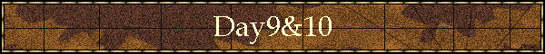 Day9&10