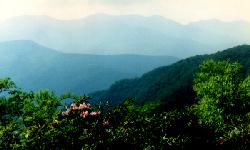 Blue Ridge Mountains in spring