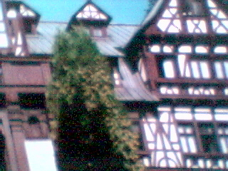 Pelisor