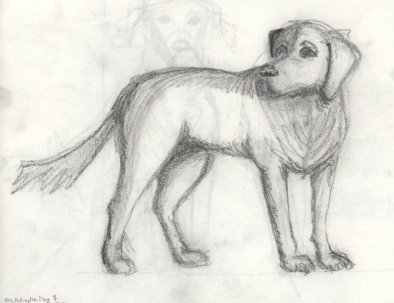 "Dog"