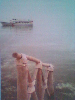 early morning