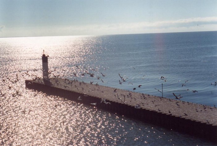 island dock