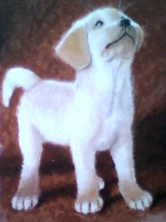 "Puppy"