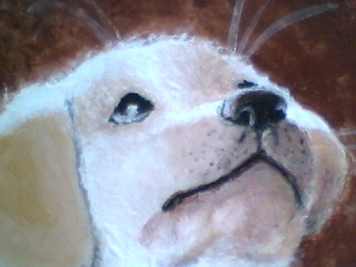 detail