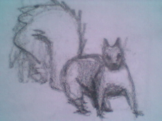 study