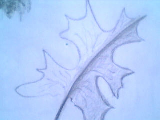 study