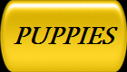 PUPPIES