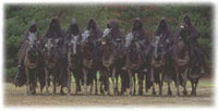 Nazgul