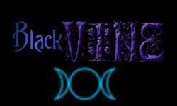 Black Vine