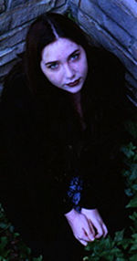 Black Vine