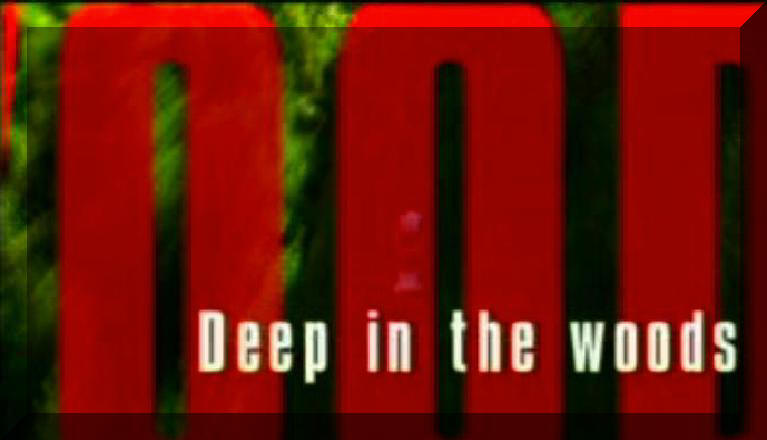 Deep In The Woods