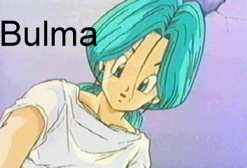 bulmaimg.jpg (21438 bytes)