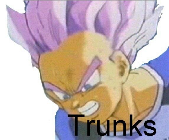 trunks_img.jpg (51532 bytes)