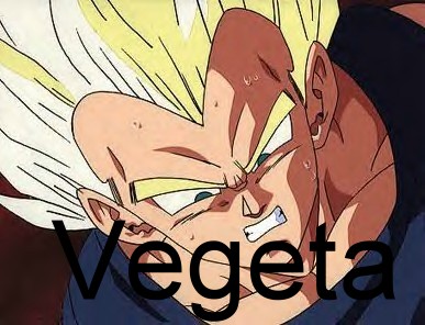 vegeta.img.jpg (44722 bytes)