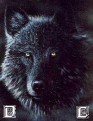 DARKLOBO