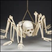 SPID1