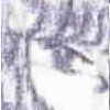 Death's Shroud [adult]