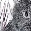 Farf's Cat Petina
