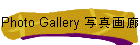 Photo Gallery 写真画廊