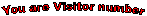 &nbsp;You are Visitor number 