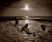Beach scene