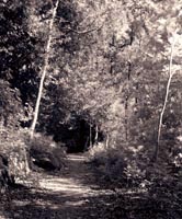 Philips Park landscape