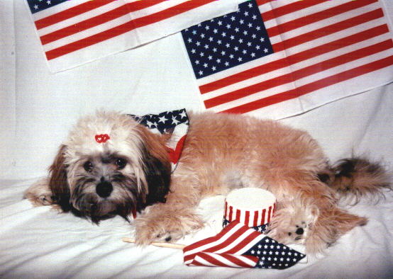 Copyright2003 Darla Henry