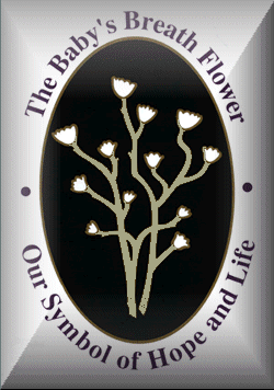 Canadian Foundation for the Study of Infant Deaths logo