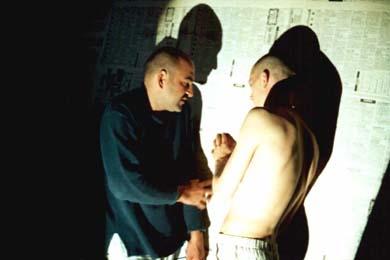 film6.jpg
