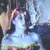 Darna Art