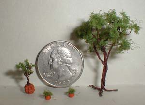 Landscape plants